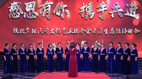 呼市民間文藝團隊才藝展示迎新年，組織文化藝術交流活動